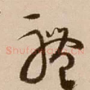 體
