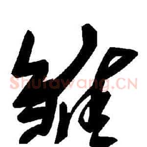 雏