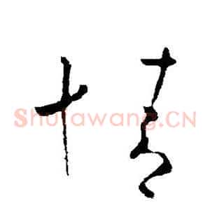 情