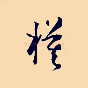 模