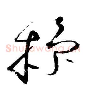 操