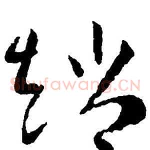 赵