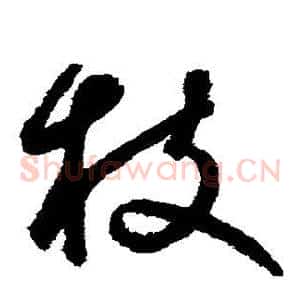 枝