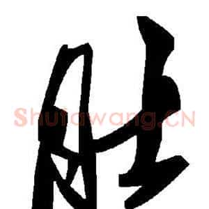 肚