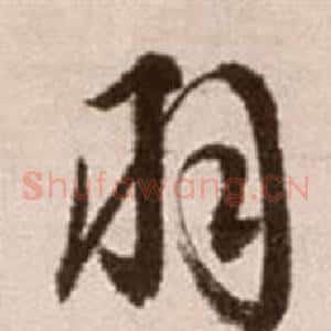 羽