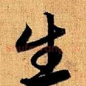 生