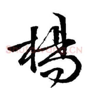 杨