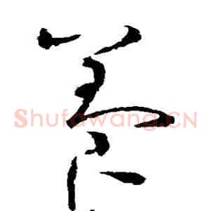 养