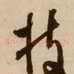 枝