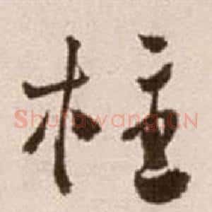 柱