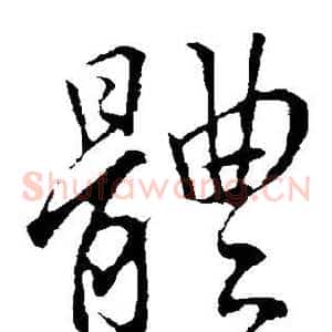 体