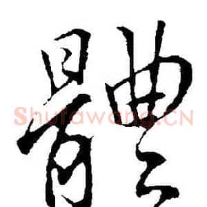 體