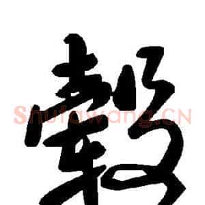 毂