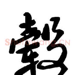 轂