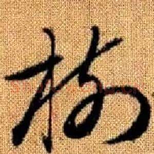 樹