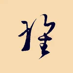 瑰