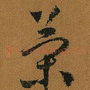 策