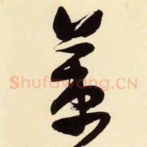 策