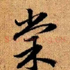 棠