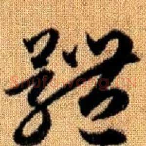 體