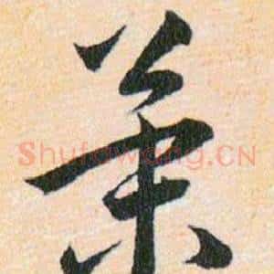 策