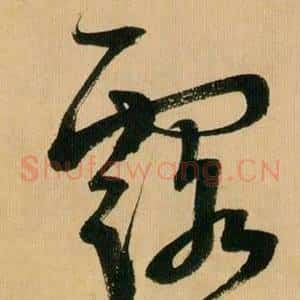 露