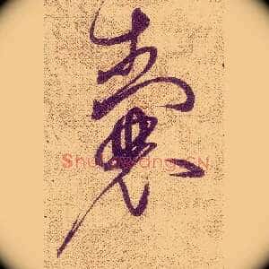 囊