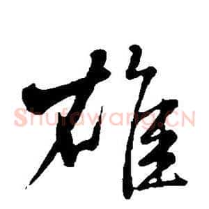 雄