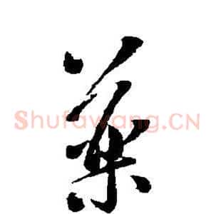 药