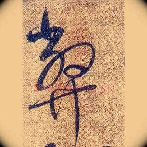 弊