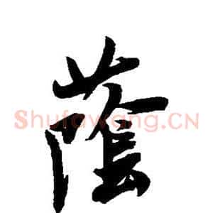 荫