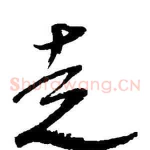 走