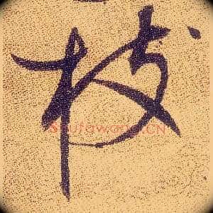 枝