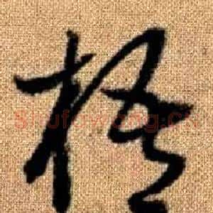 梧