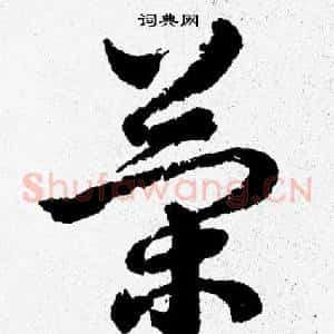 策