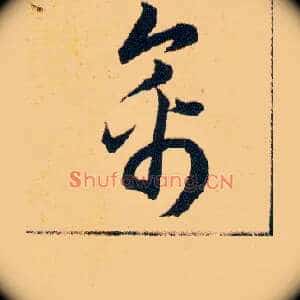 禽