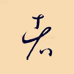 者