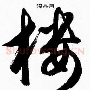 楼