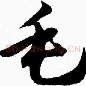 毛
