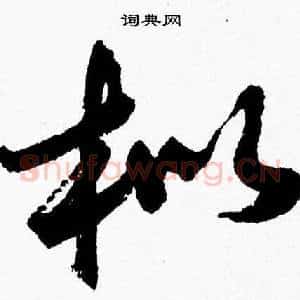 枇