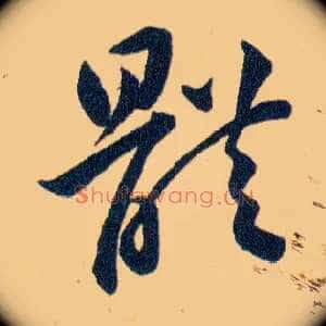 體