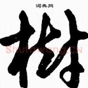 樹