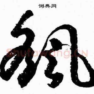 颻