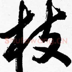 枝