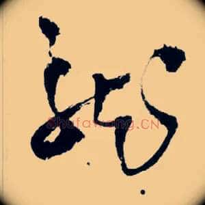 龍