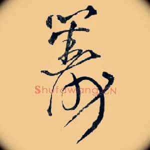 筹