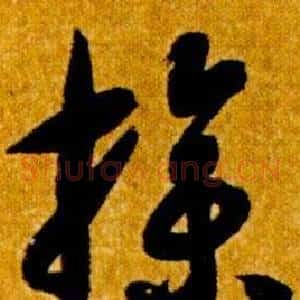 操