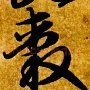轂