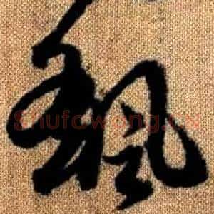 颻