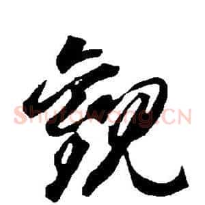 观